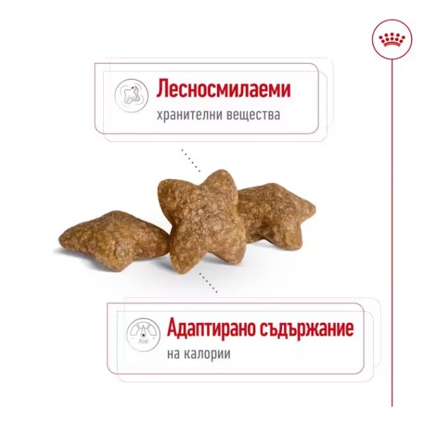 Royal Canin Dog Adult Mini - Пълноценна суха храна за кучета от дребни породи от 10 месеца до 8 години